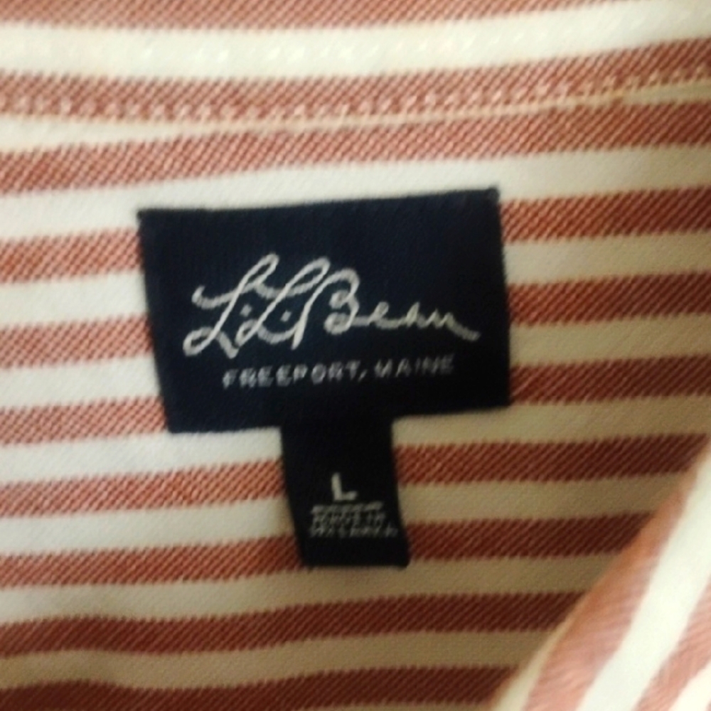 L.L. Bean Casual Button Down Shirt Brown and White Mens Large - Picture 2 of 5